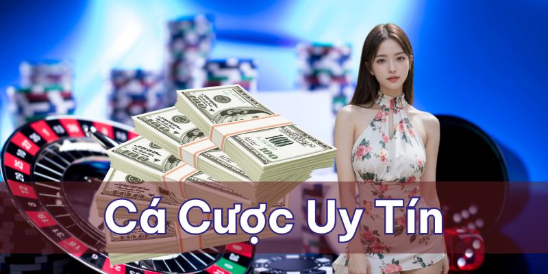 Kubet - Địa chỉ cá cược uy tín với dịch vụ hoàn hảo